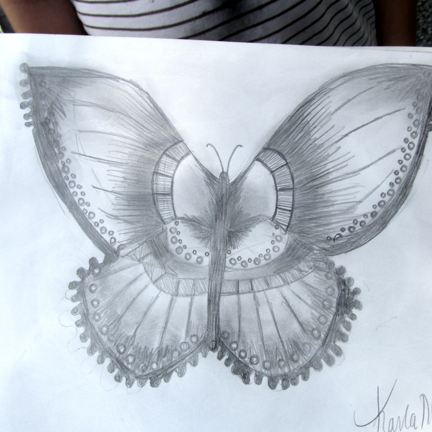 Check out these beautiful nature drawings a young girl was sketching ...